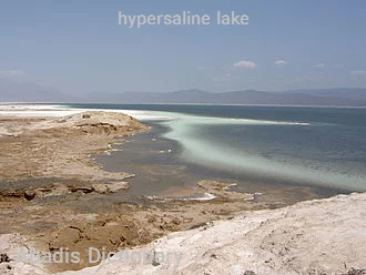 hypersaline lake